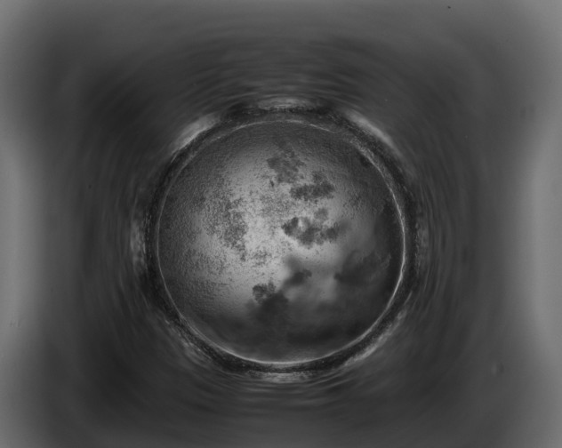 X0000085751305200703231123