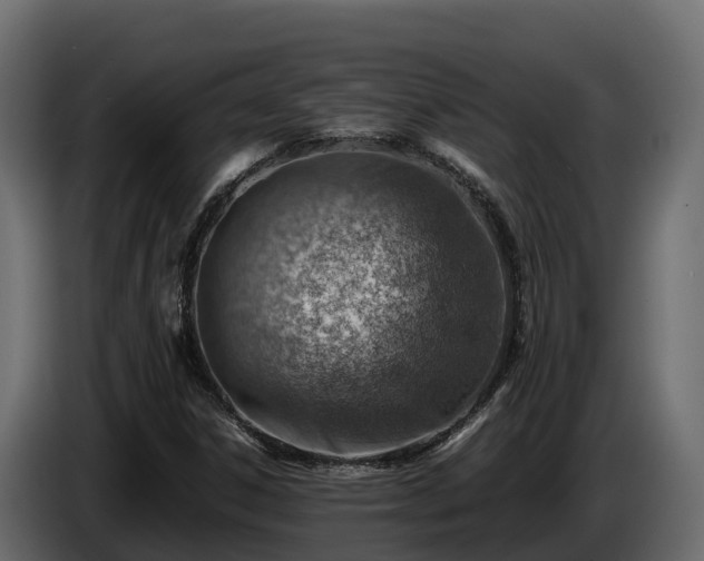 X0000085751306200703231123
