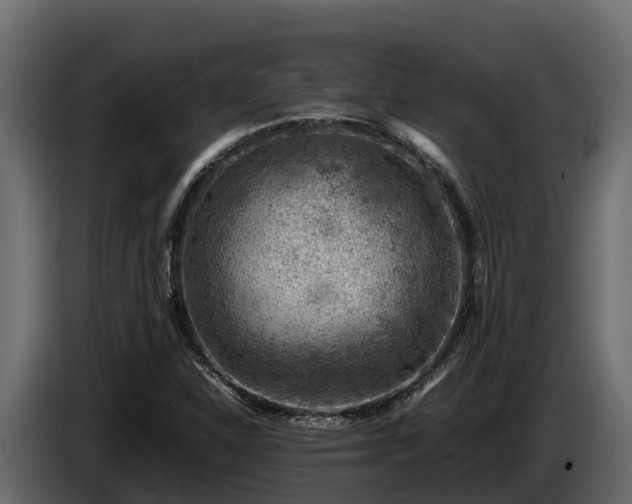 X0000085751310200703231123