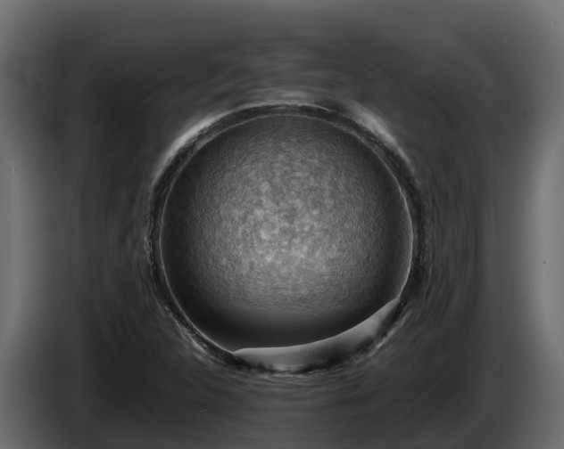 X0000085751312200703231123