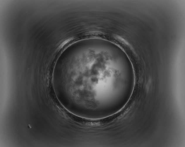 X0000085751313200703231123