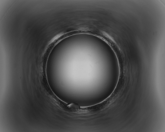 X0000085751315200703231123