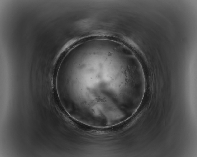 X0000085751318200703231123