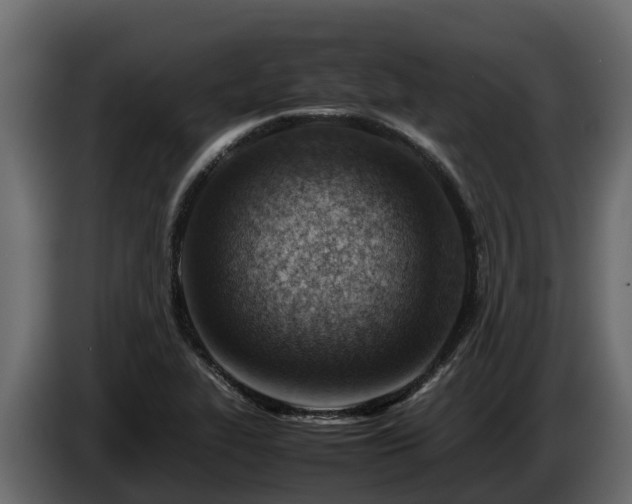 X0000085751319200703231123