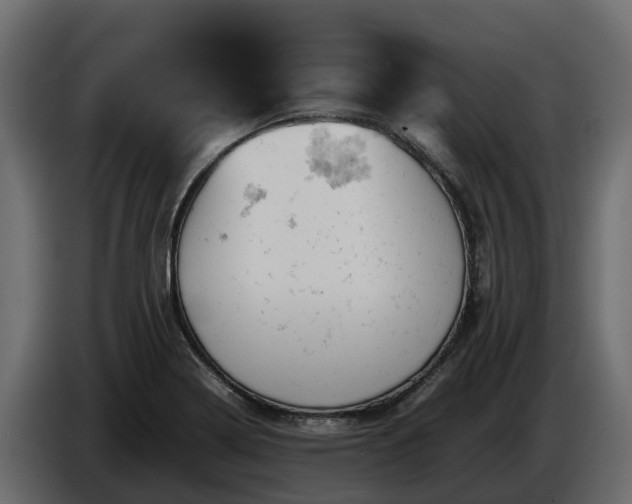X0000085751322200703231123