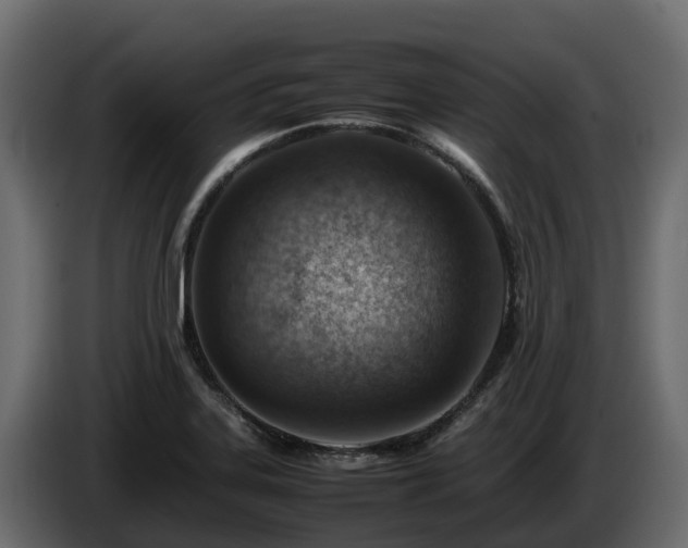 X0000085751323200703231123