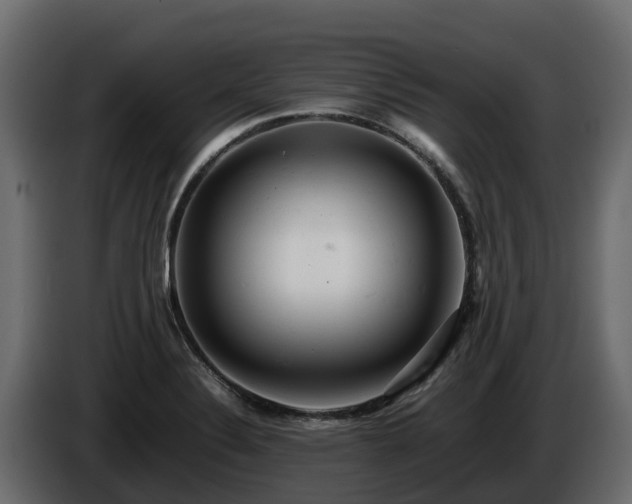 X0000085751324200703231123