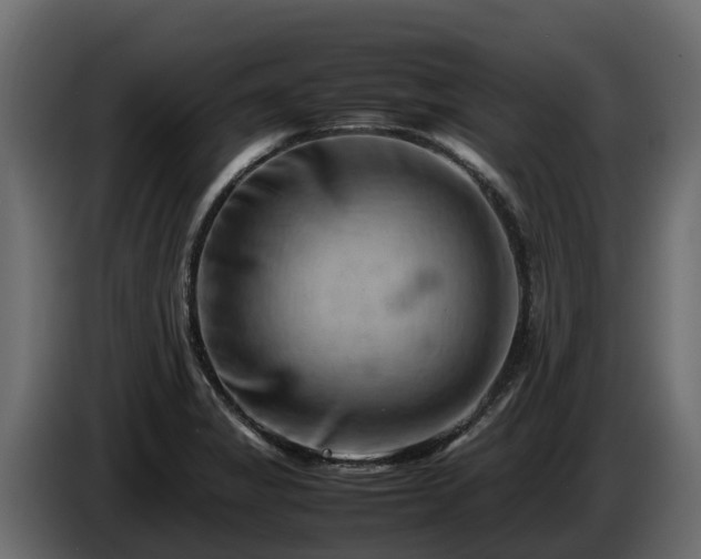X0000085751325200703231123