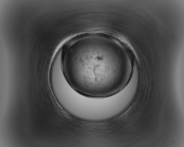 X0000085751328200703231123