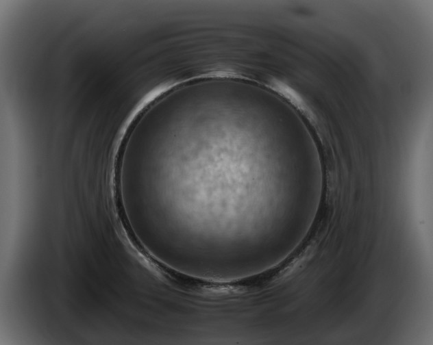 X0000085751331200703231124