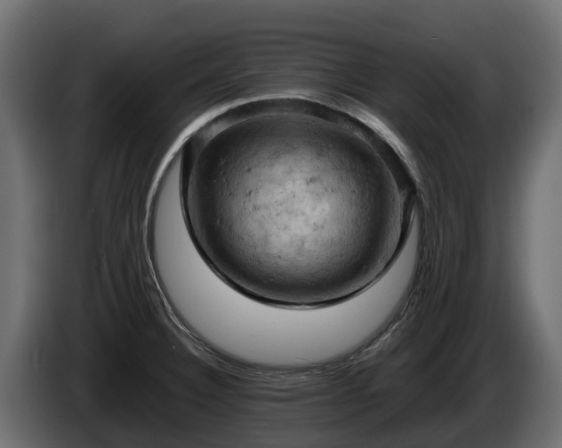 X0000085751332200703231124
