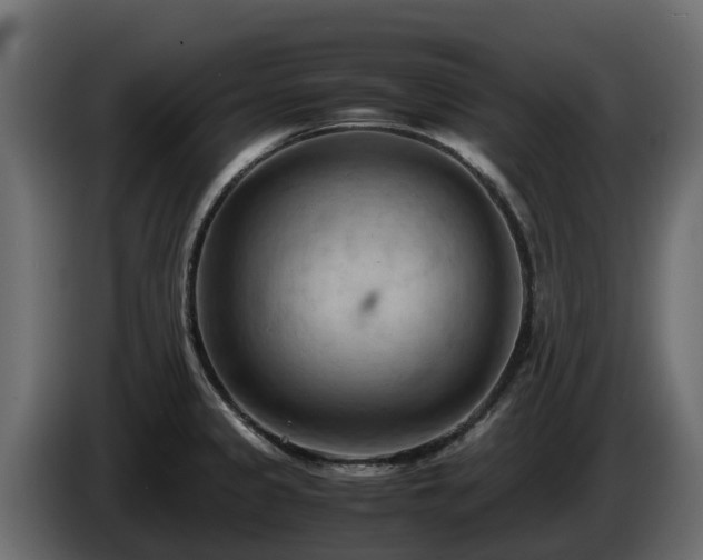 X0000085751333200703231124