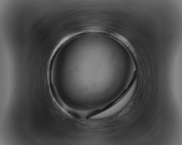 X0000085751334200703231124