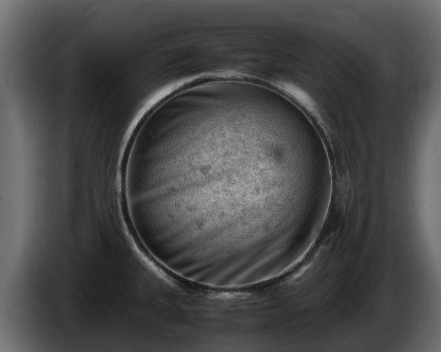 X0000085751335200703231124