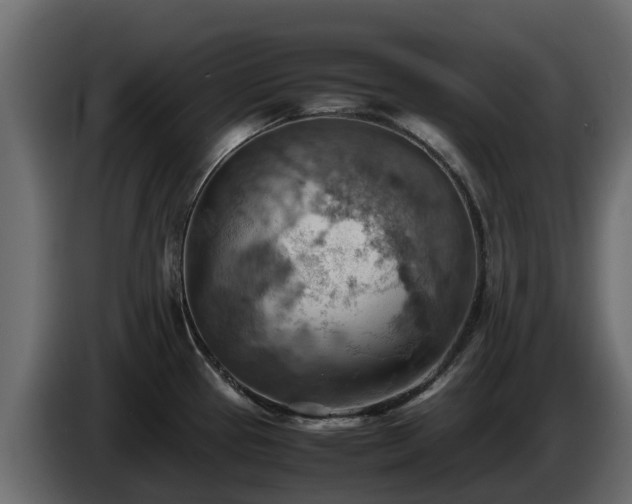 X0000085751337200703231124
