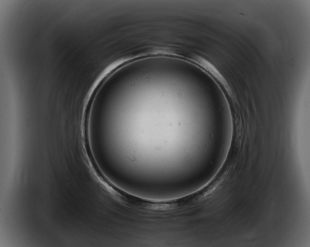 X0000085751339200703231124
