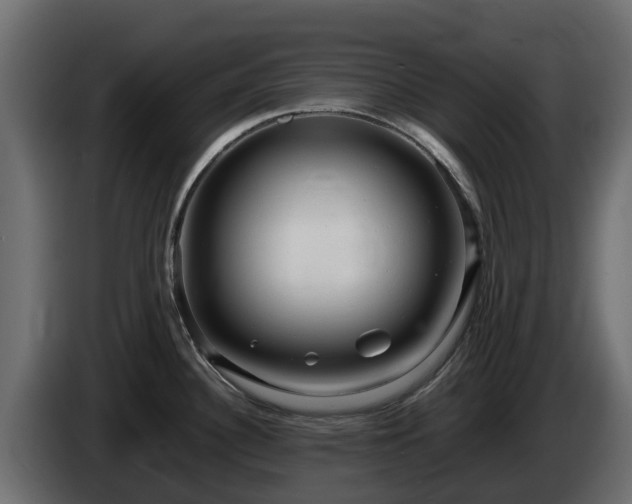 X0000085751340200703231124