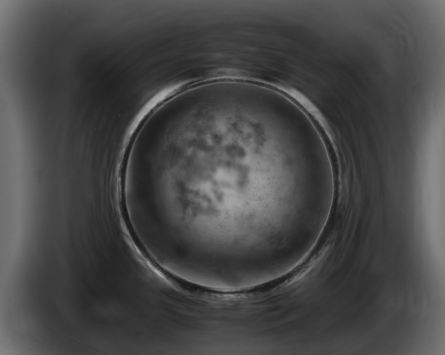 X0000085751341200703231124