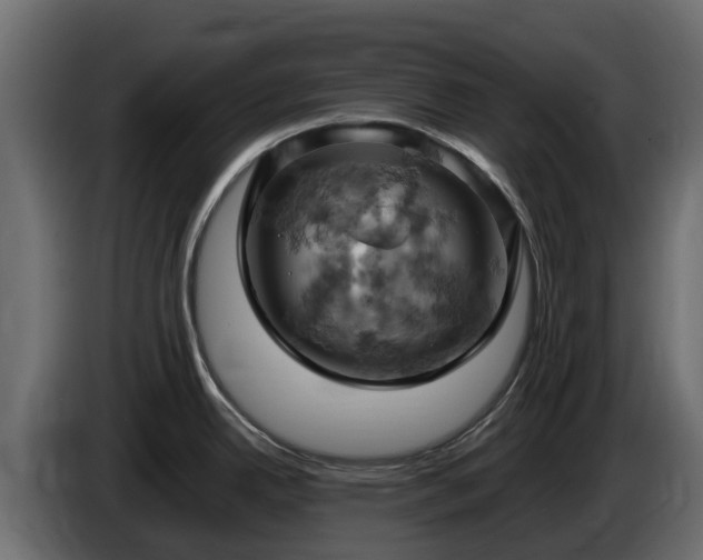 X0000085751342200703231124