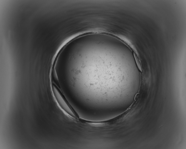 X0000085751343200703231124