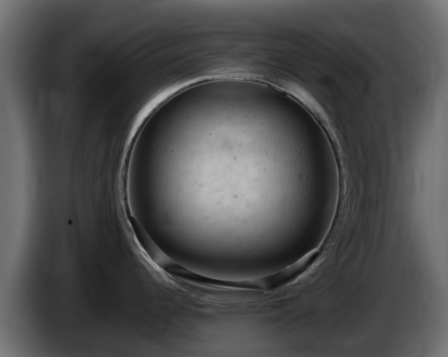 X0000085751344200703231124