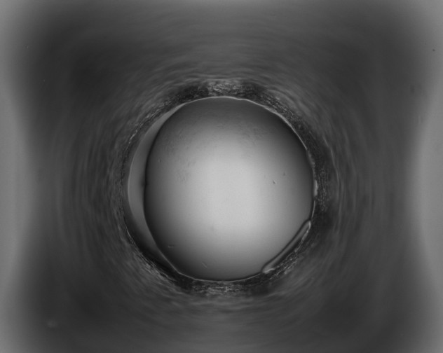 X0000085751345200703231123