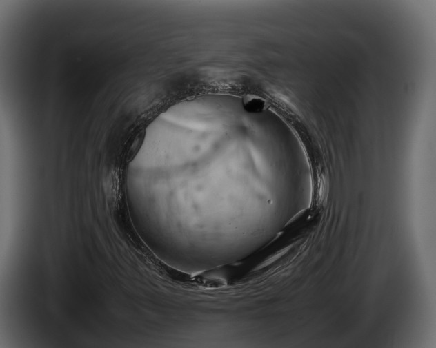X0000085751347200703231123