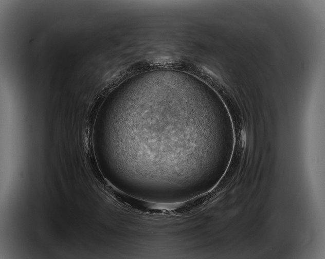 X0000085751348200703231123