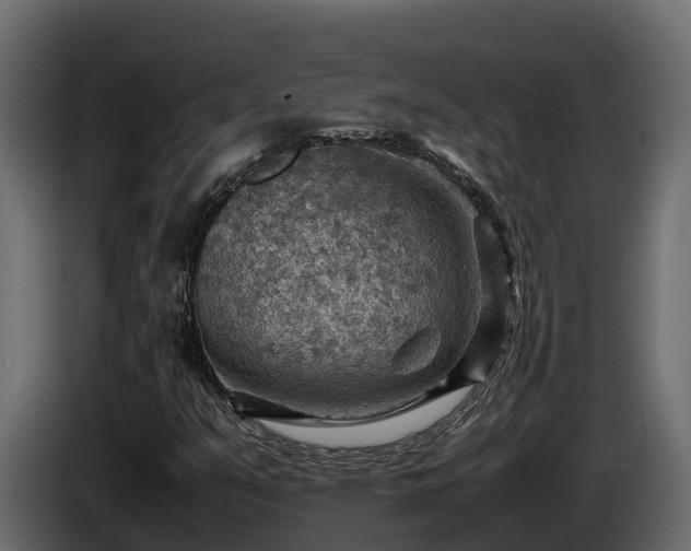 X0000085751351200703231123