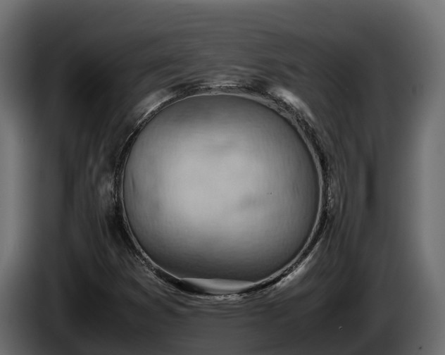 X0000085751353200703231123