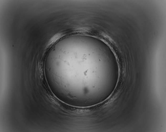 X0000085751354200703231123