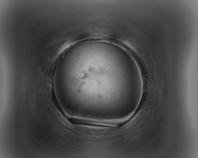 X0000085751355200703231123
