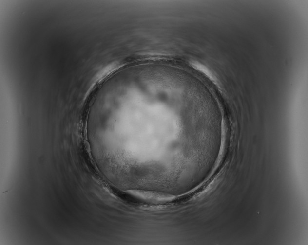 X0000085751357200703231123