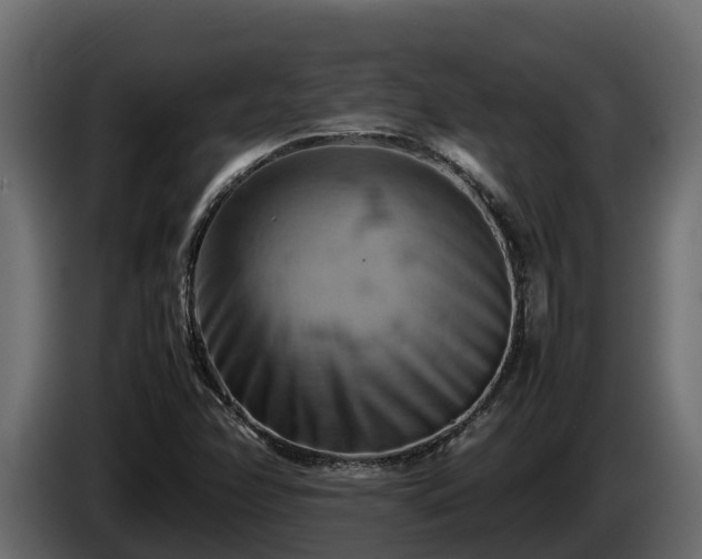 X0000085751358200703231123