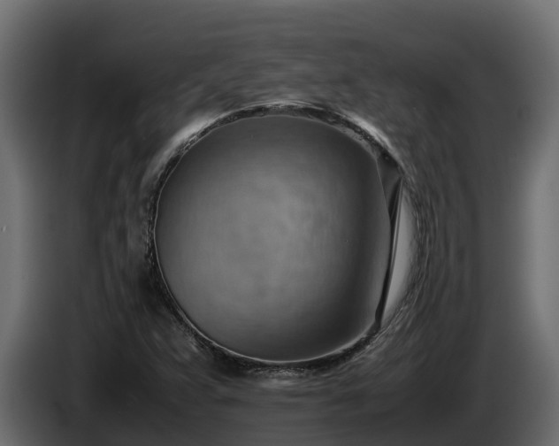 X0000085751359200703231123