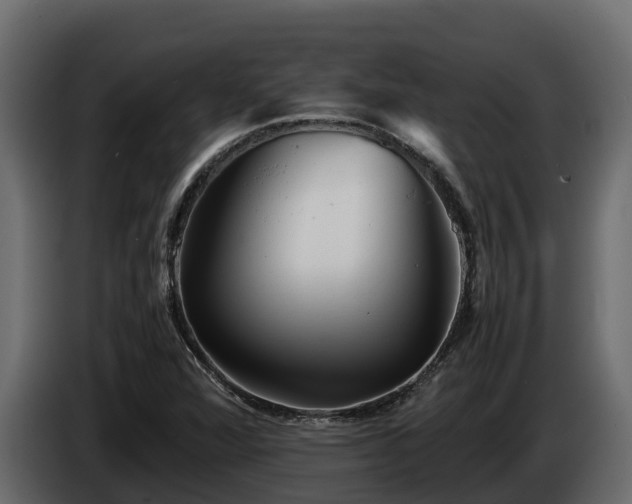 X0000085751360200703231123