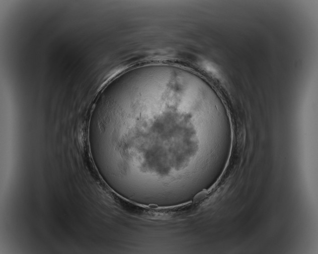 X0000085751361200703231123