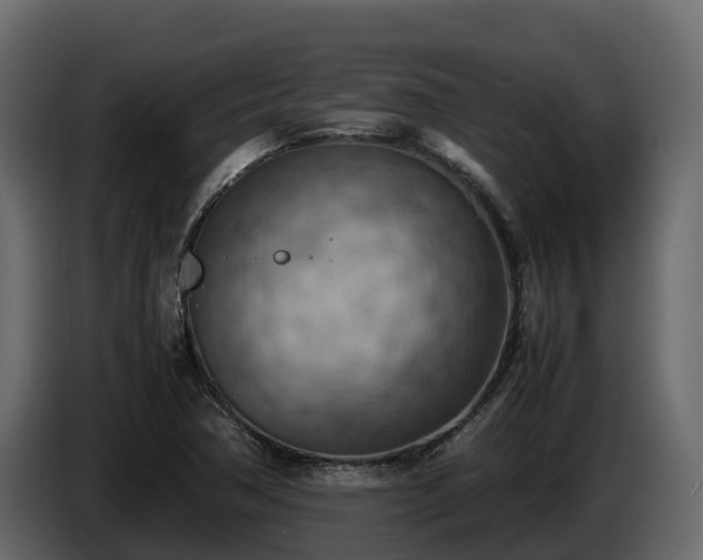 X0000085751362200703231123