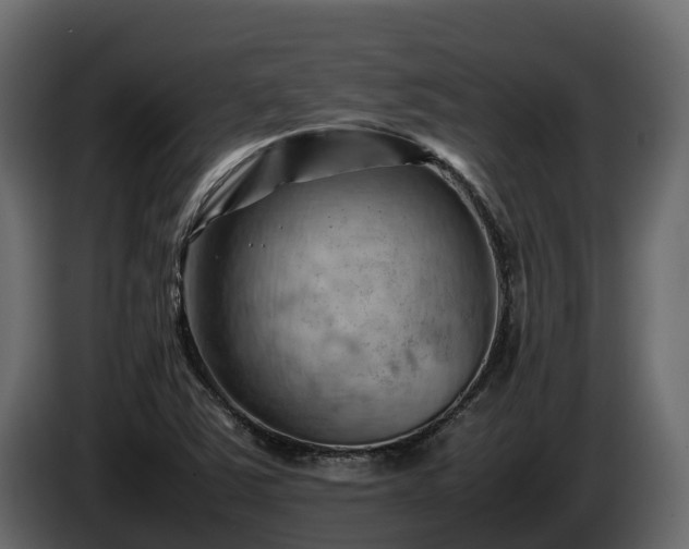 X0000085751363200703231123