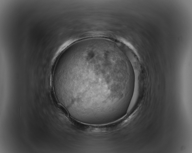 X0000085751365200703231123