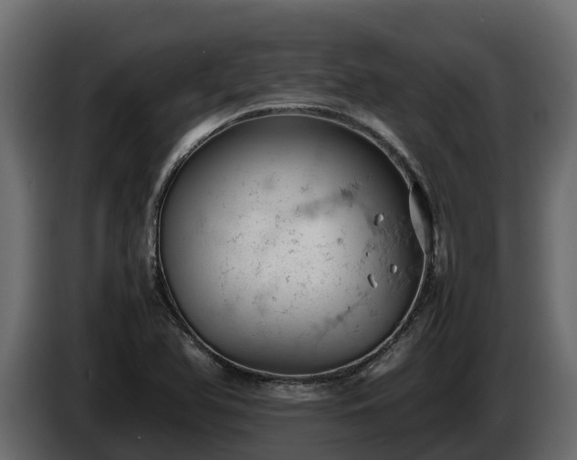 X0000085751366200703231123