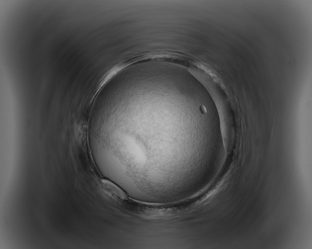 X0000085751369200703231123
