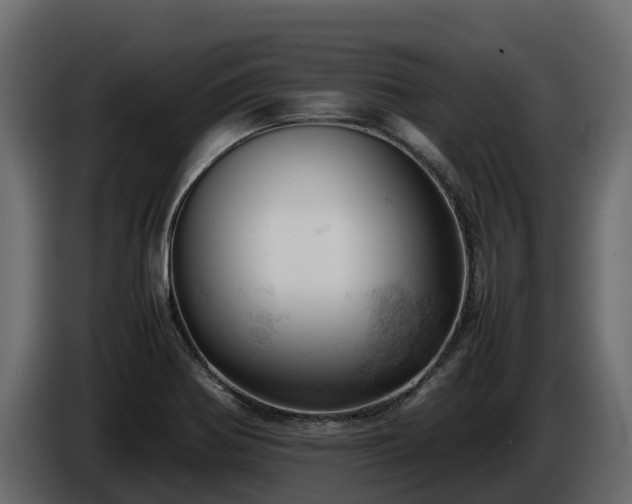 X0000085751370200703231123