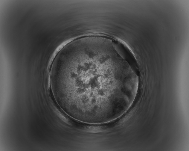 X0000085751371200703231123