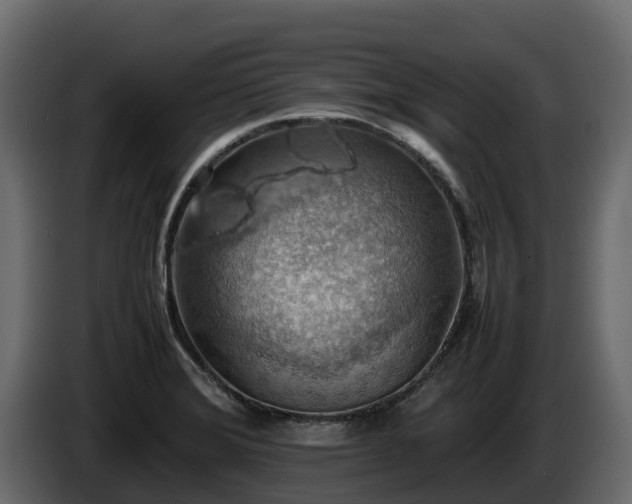 X0000085751372200703231123