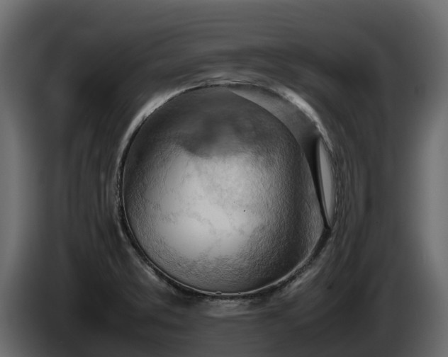 X0000085751373200703231123