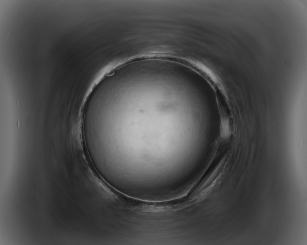 X0000085751374200703231123
