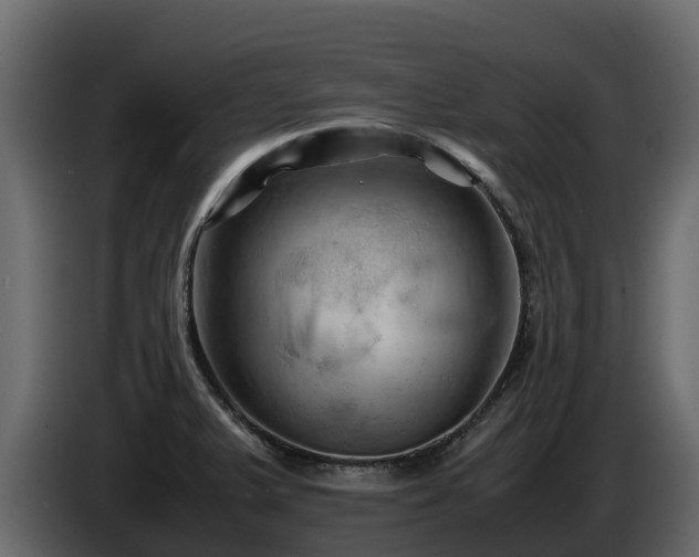 X0000085751375200703231123