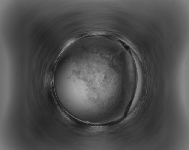 X0000085751377200703231123