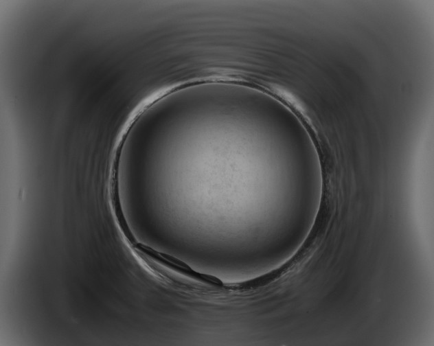 X0000085751379200703231123